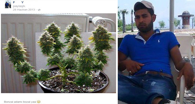 Facebook'tan 'Bonzai adamı bozai ya' paylaşımı