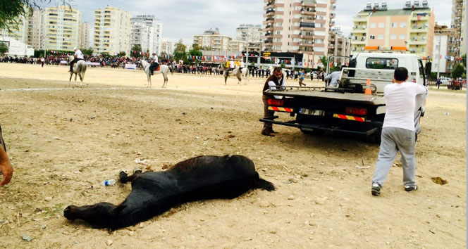 Cirit sahasında ölen at çocukları ağlattı
