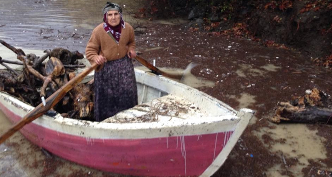 Vatandaşlar teknelerle balık yerine odun topluyor