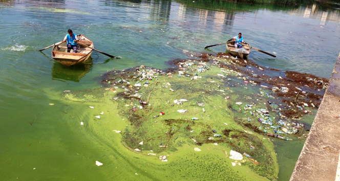 Seyhan Nehri&#039;ndeki balık ölümleri önlenecek