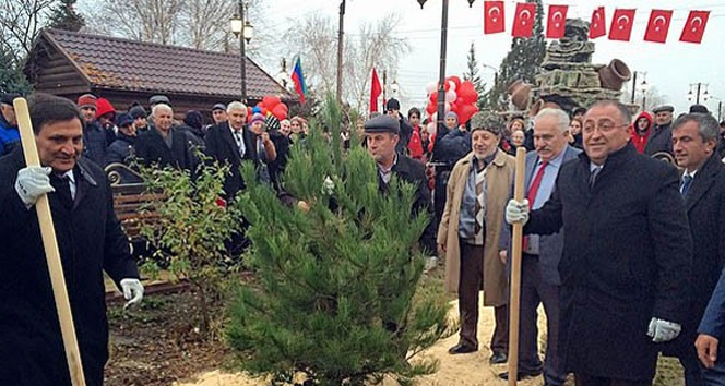 Salman Yalova'da ağaç kesti, Dağıstan'da ağaç dikti