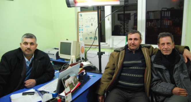 Domuzların saldırdığı köylüler yaşadıkları korkuyu anlattı