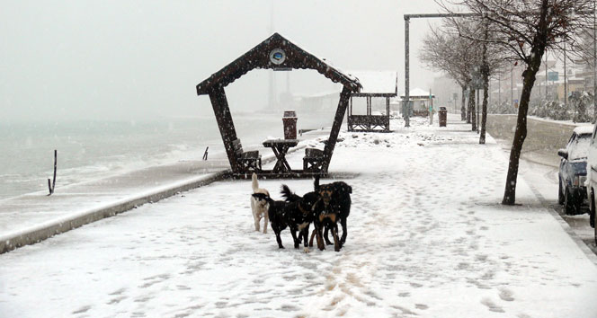Çatalzeytin kara teslim