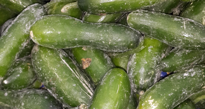 Soğuk hava pazarcı esnafını vurdu