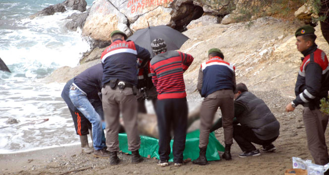 Fethiye&#039;de plajda ceset bulundu
