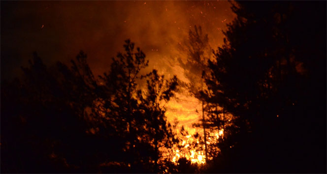 Yakakent&#039;te orman yangını sürüyor