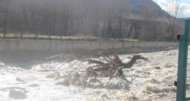 Karasu deresi taştı