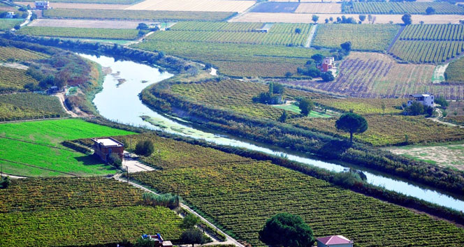 Tarım cenneti iller açıklandı