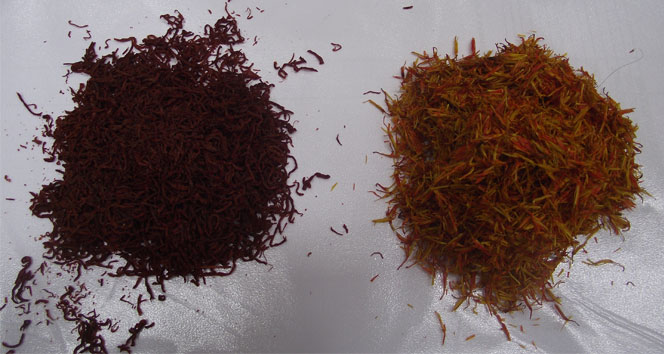 Araba fiyatına bitki