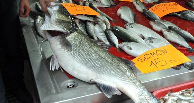 15 kiloluk levrek balığı şaşırttı