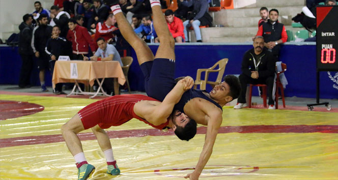 Milli Güreşçiler, Bulgaristan’da minderi titretecek