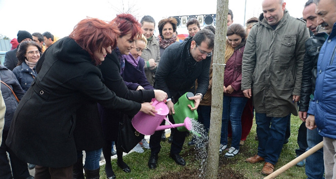 Öldürülen her kadın için bir ağaç dikildi