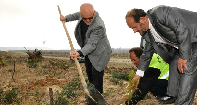 250 bin şehit için 250 bin fidan