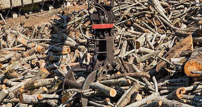 Ağaç kesmeden orman ürünleri hazırlıyorlar