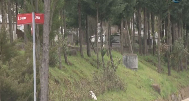 Sultanahmet bombacısı kimsesizler mezarlığına defnedildi