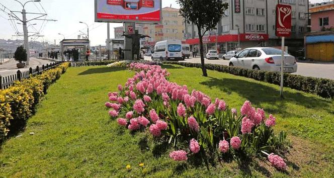 Bahar Güngören'e renk getirdi