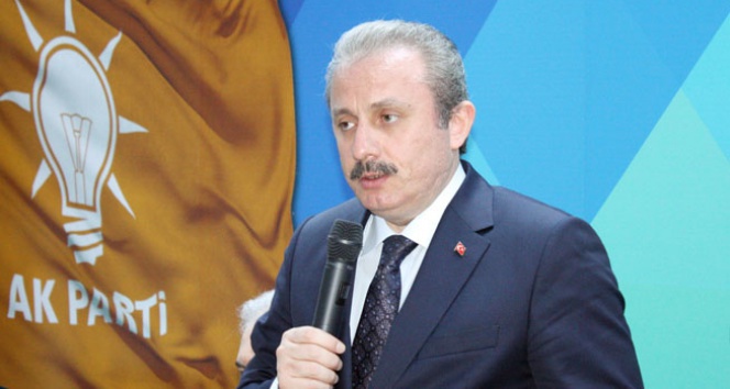 Mustafa Şentop: ‘HDP yüzde 10 barajını aşamaz’