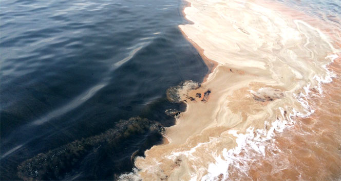 Denizde kahverengi tabaka Yalova&#039;da da ortaya çıktı