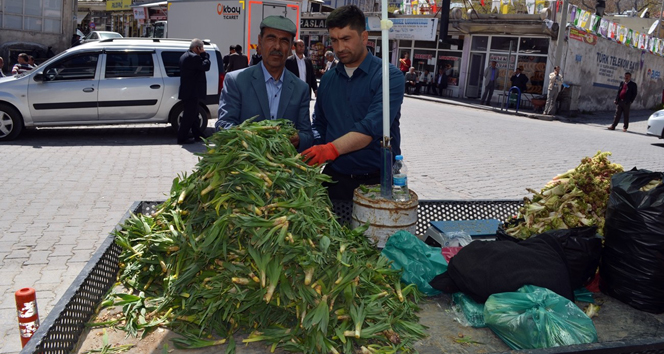 Şifalı otlar geçim kaynakları oldu